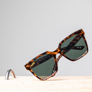 Bold Tortoise Sunglasses